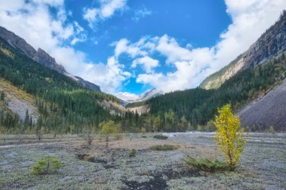 Dried up lake bed Kinney Flats in valley of mountain ranges on sunny day early autumn in Mount Robson Provincial Park