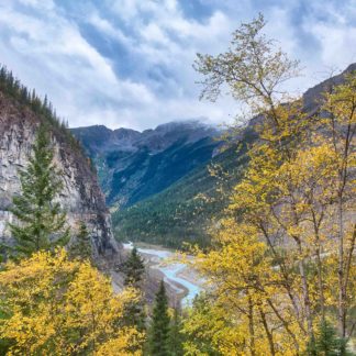 Looking down on Kinney Flats after rainstorm through fresh fall foliage on Berg Lake Trail in Mount Robson Provincial Park